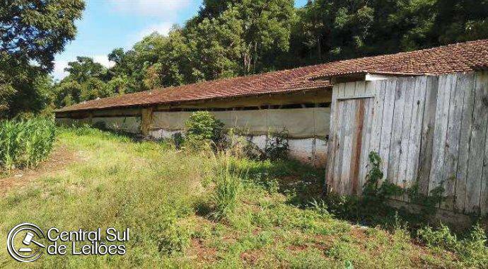 Gleba no Samburá (foto 5 de 8)