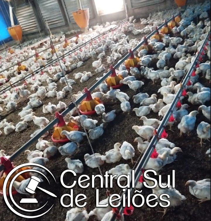 Imagem principal do lote